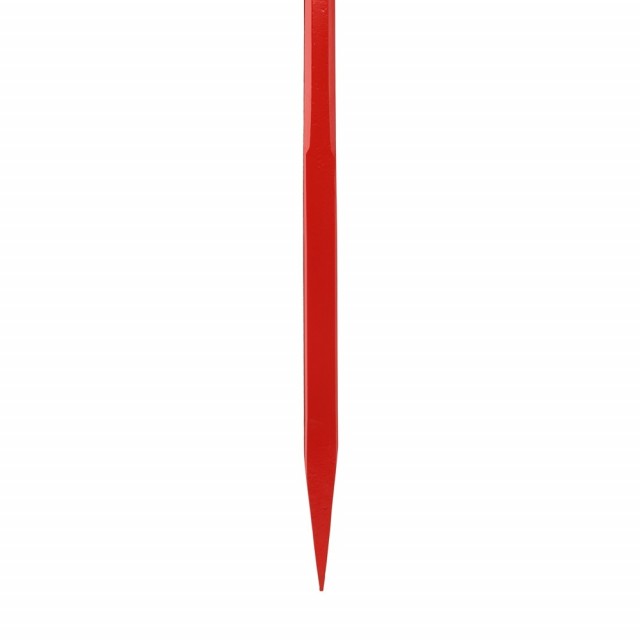 SP